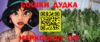 эйфоретик Обь