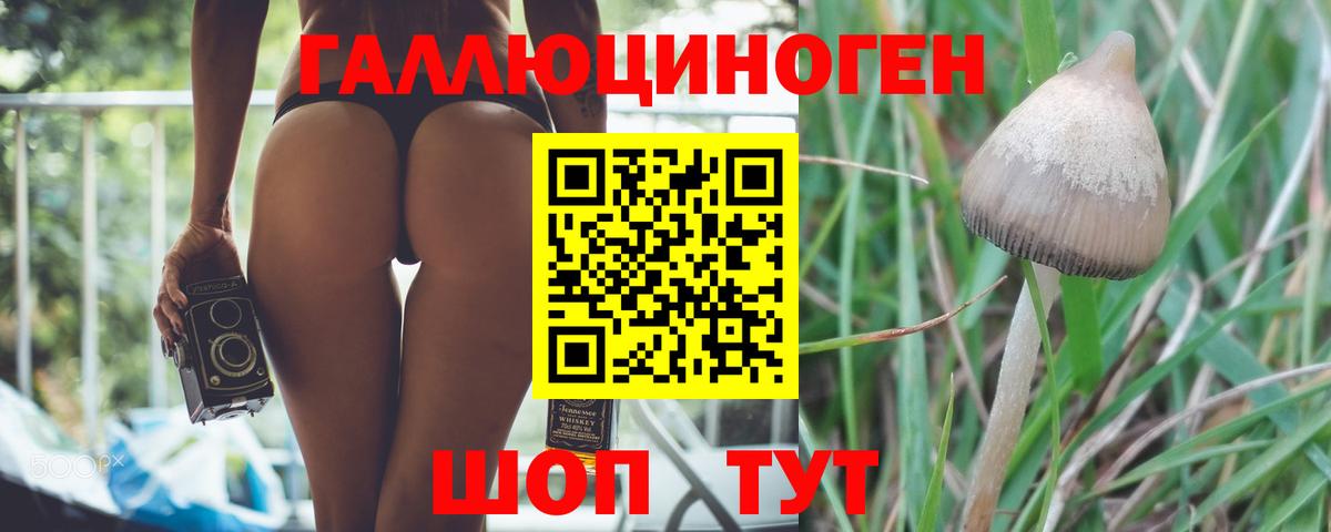 ГАШ  Трёхгорный  МЕФ   Лсд 25  Вход с VPN  Конопля 